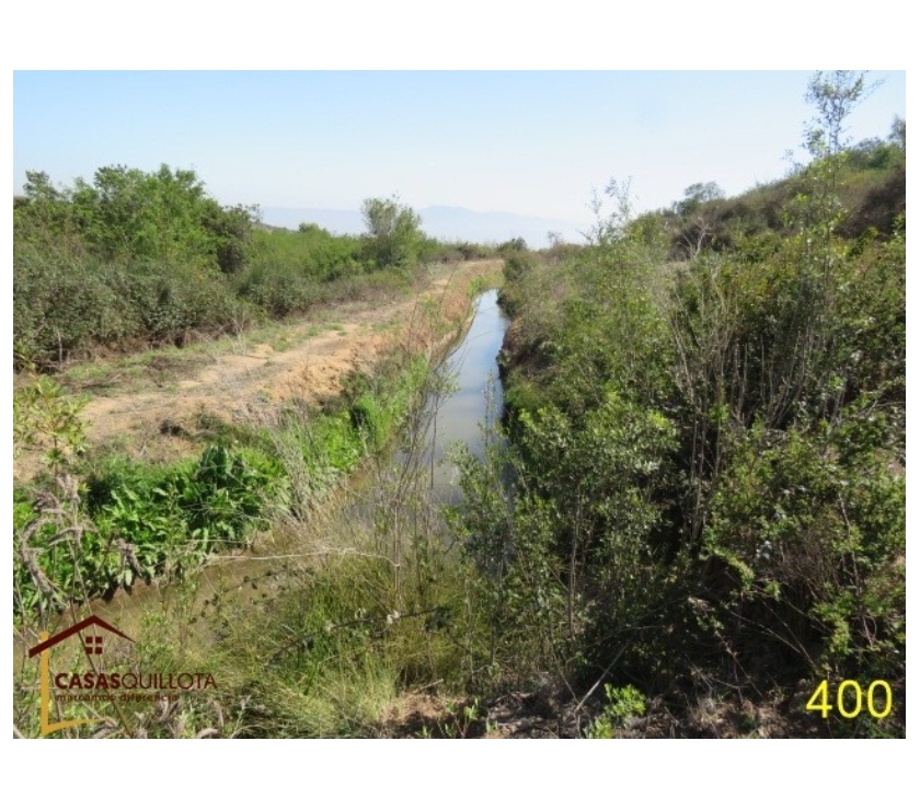 Parcelas en Venta Quillota Quillota - Fotos de Se vende, excelente terreno agrícola de 8.5 hectáreas.