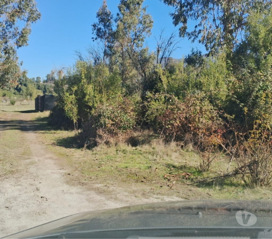 Parcelas en Venta Curicó Curicó - Fotos de Venta terreno condominio cerrado