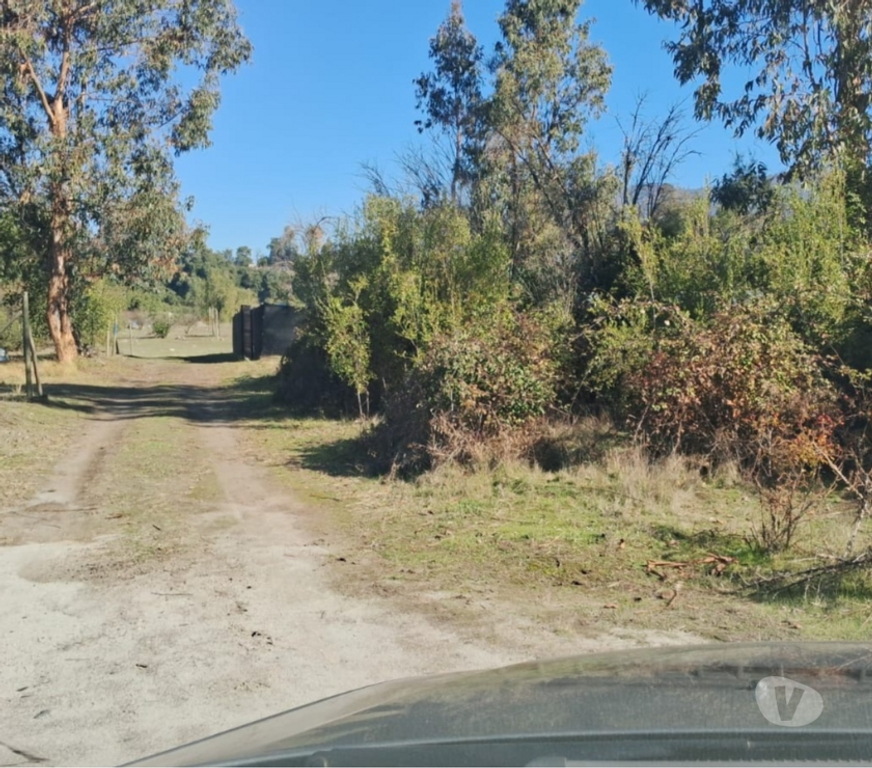 Parcelas en Venta Curicó Curicó - Fotos de Venta terreno condominio cerrado