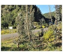 Fotos de PARCELAS ARAUCO TUBUL RAQUI CERRO VEGA HUMEDAL ESTERO VENTA