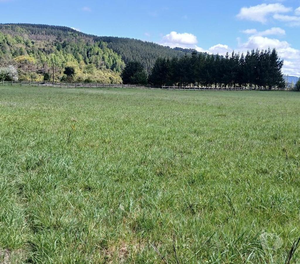 Venta de Haciendas Valdivia Lanco - Fotos de Parcela, 6.000 m2, Rol propio, Lanco.