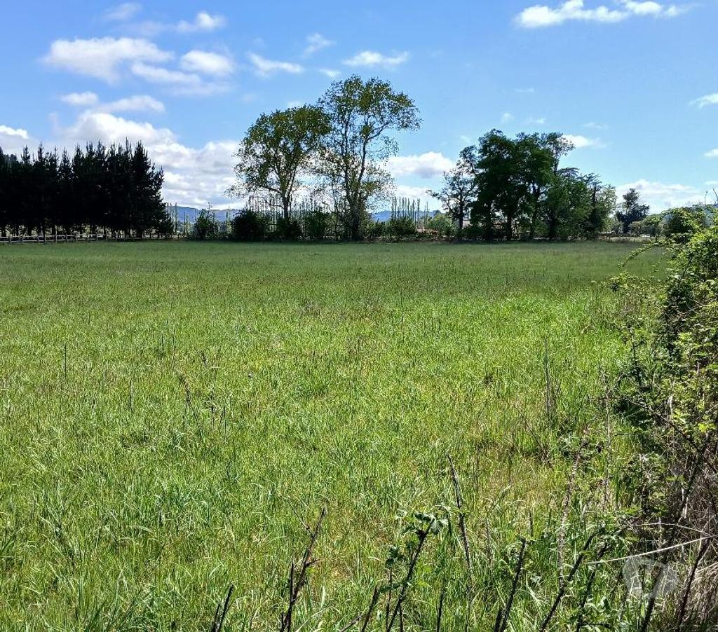 Venta de Haciendas Valdivia Lanco - Fotos de Parcela, 6.000 m2, Rol propio, Lanco.