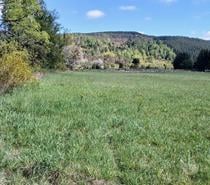 Fotos de Parcela, 6.000 m2, Rol propio, Lanco.