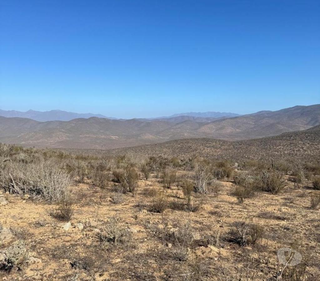 Venta de Haciendas Elqui Conquimbo - Fotos de Macro Lote Apatitas Coquimbo Inmejorable Oferta