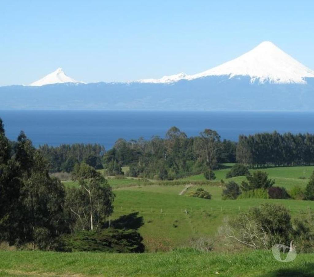 Parcelas en Venta Llanquihue Frutillar - Fotos de PARCELA 5000MTS2 FRUTILLAR