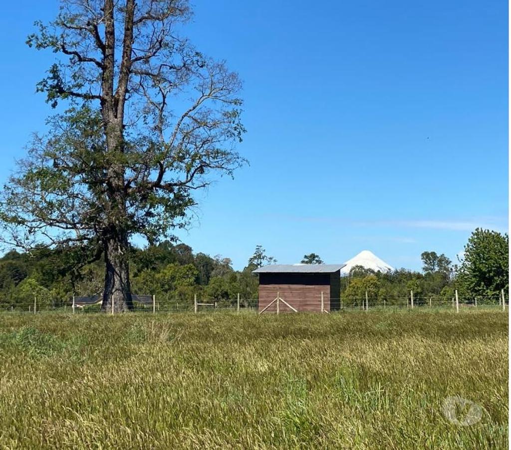 Parcelas en Venta Llanquihue Frutillar - Fotos de PARCELA 5000MTS2 FRUTILLAR