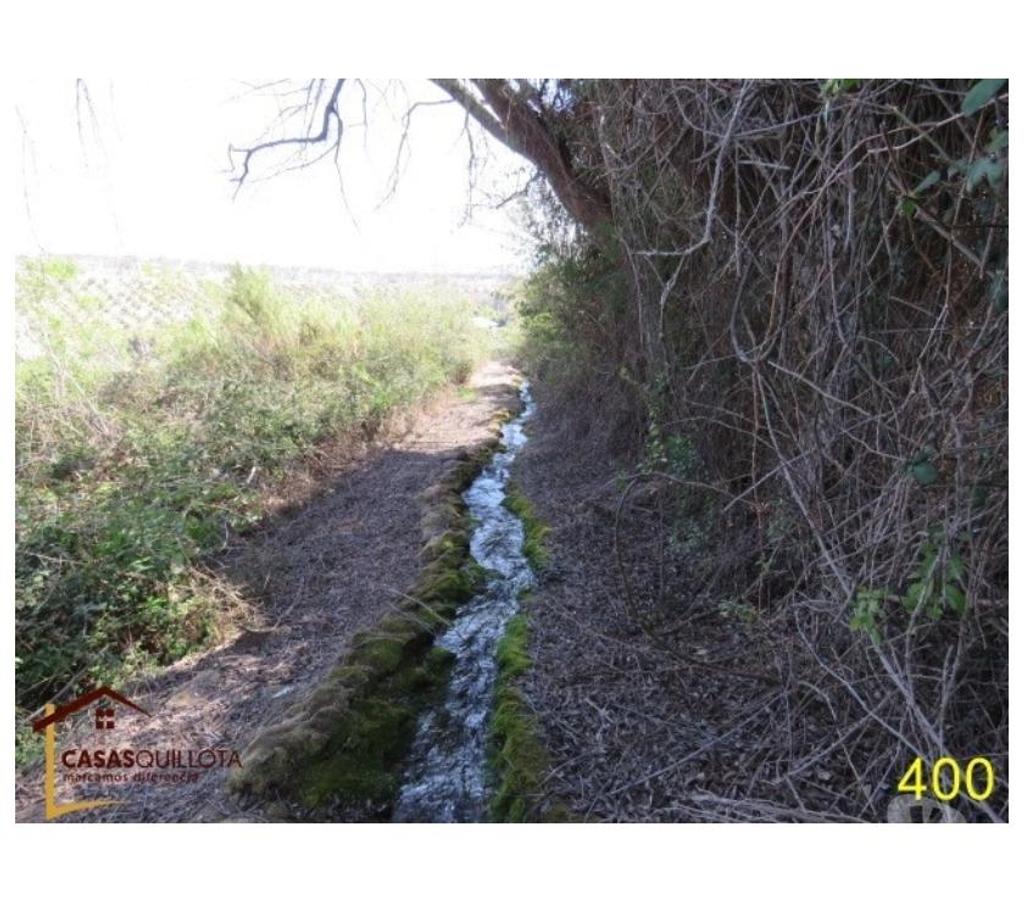Parcelas en Venta Quillota Quillota - Fotos de Se vende, .Excelente terreno agrícola de 8.5 hectáreas.