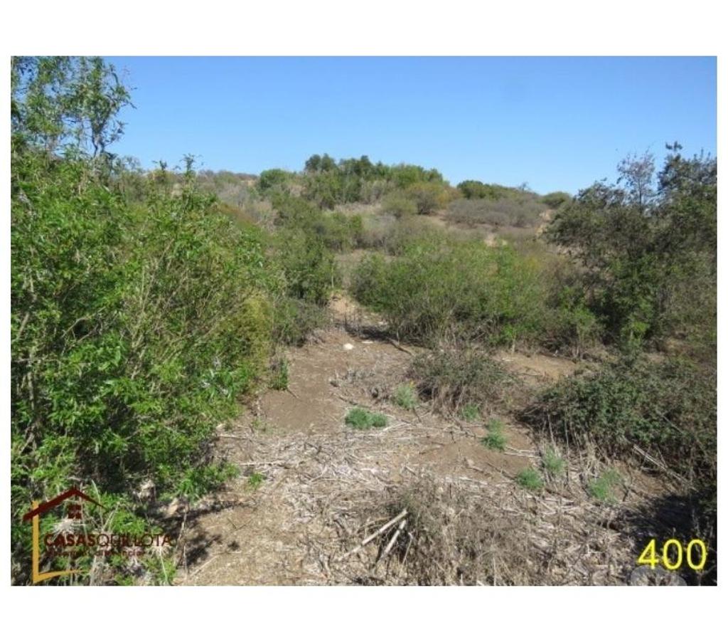Parcelas en Venta Quillota Quillota - Fotos de Se vende, .Excelente terreno agrícola de 8.5 hectáreas.