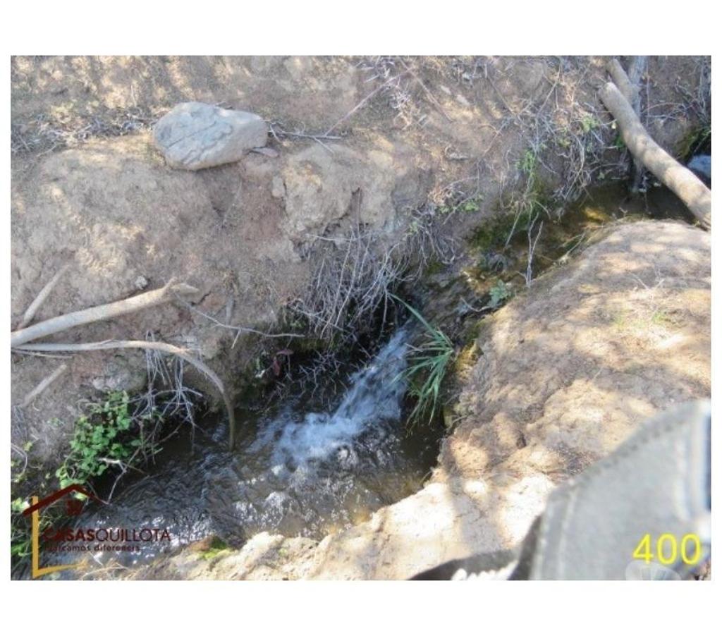 Parcelas en Venta Quillota Quillota - Fotos de Se vende, .Excelente terreno agrícola de 8.5 hectáreas.