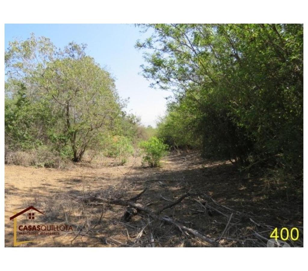 Parcelas en Venta Quillota Quillota - Fotos de Se vende, .Excelente terreno agrícola de 8.5 hectáreas.