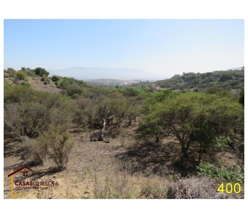 Parcelas en Venta Quillota Quillota - Fotos de Se vende, .Excelente terreno agrícola de 8.5 hectáreas.