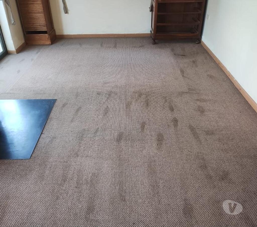 Otros Servicios Valparaíso Viña del Mar - Fotos de limpieza de alfombras y tapices