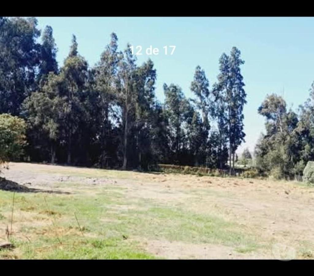 Parcelas en Venta Talagante Isla de Maipo - Fotos de Terreno a 50 minutos de stgo centro con rol propio