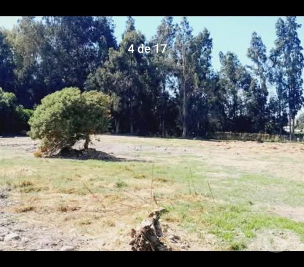 Parcelas en Venta Talagante Isla de Maipo - Fotos de Terreno a 50 minutos de stgo centro con rol propio