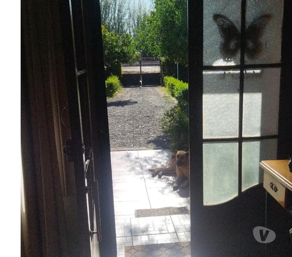 Bienes Raices Linares San Javier - Fotos de VENTA HERMOSA CASA