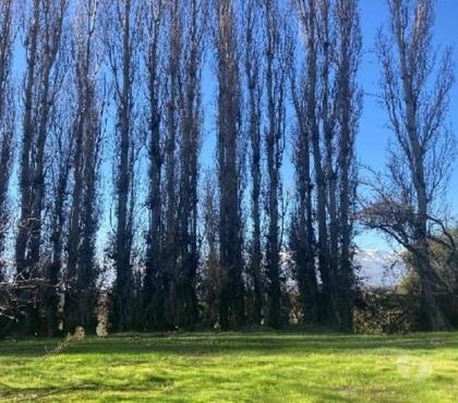 Terrenos Rinconada Los Andes - Fotos de SE VENDE PARCELAS EN RINCONADA DE LOS ANDES