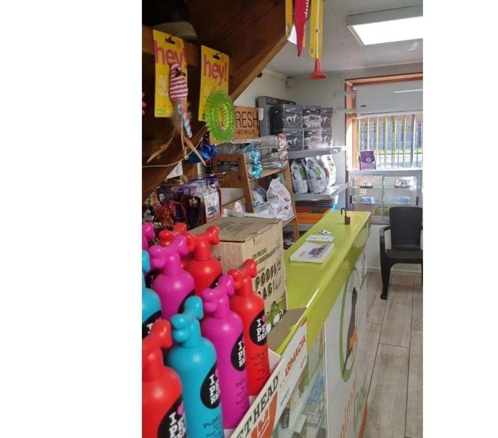 Arriendos Maipo San Bernardo - Fotos de Se arrienda Clínica Vet. lista para funcionar