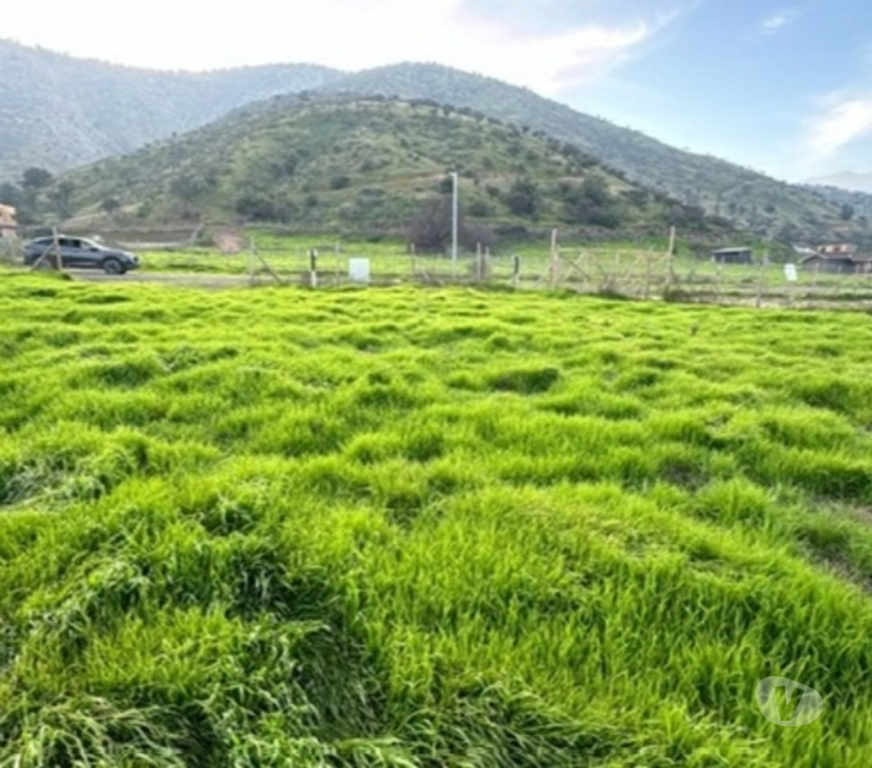 Parcelas en Venta Talagante Padre Hurtado - Fotos de Venta de Parcela en Padre Hurtado – 7.000 m² aprox