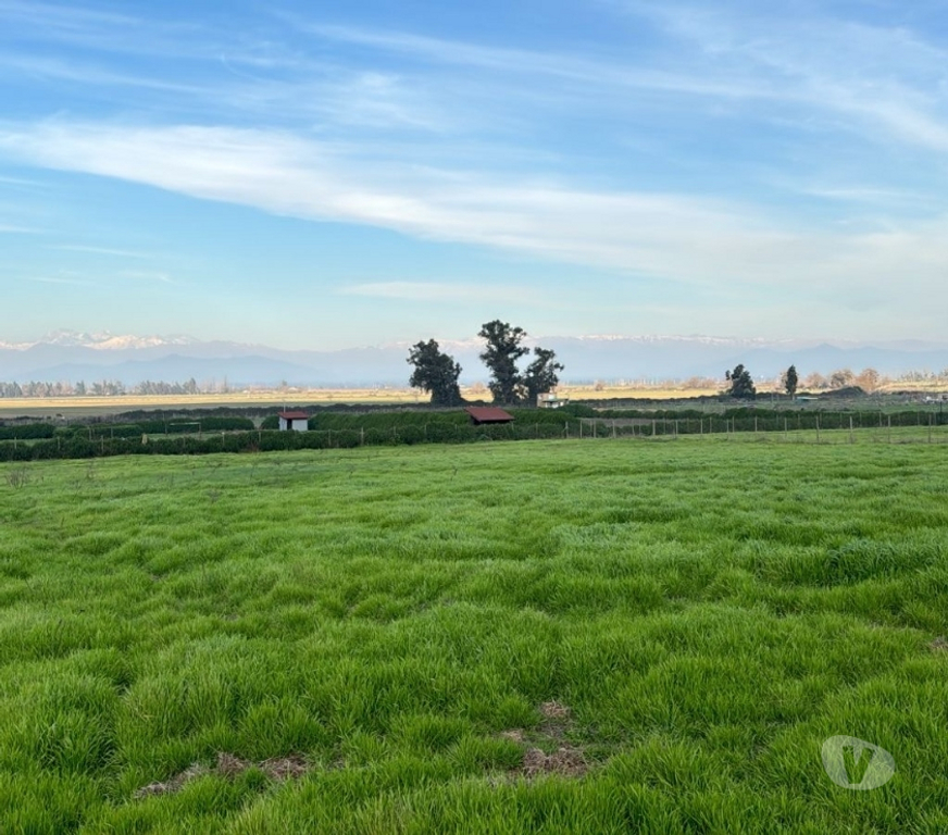 Parcelas en Venta Talagante Padre Hurtado - Fotos de Venta de Parcela en Padre Hurtado – 7.000 m² aprox