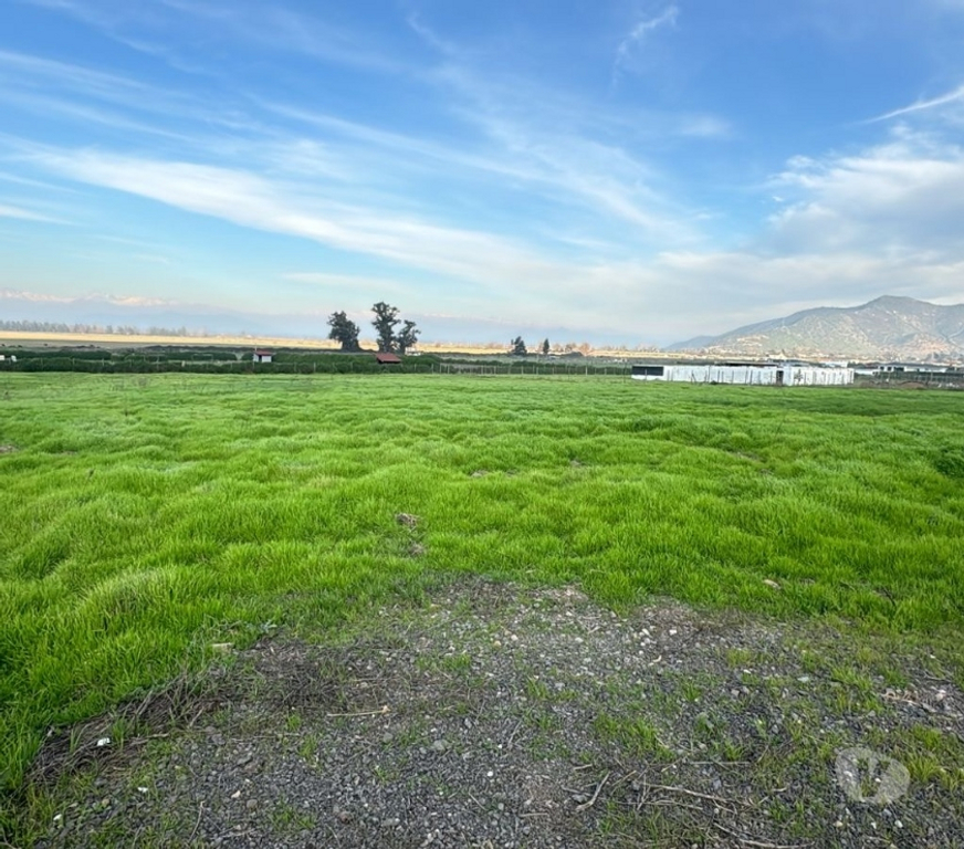 Parcelas en Venta Talagante Padre Hurtado - Fotos de Venta de Parcela en Padre Hurtado – 7.000 m² aprox