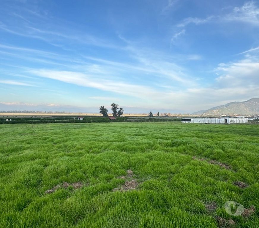 Parcelas en Venta Talagante Padre Hurtado - Fotos de Venta de Parcela en Padre Hurtado – 7.000 m² aprox
