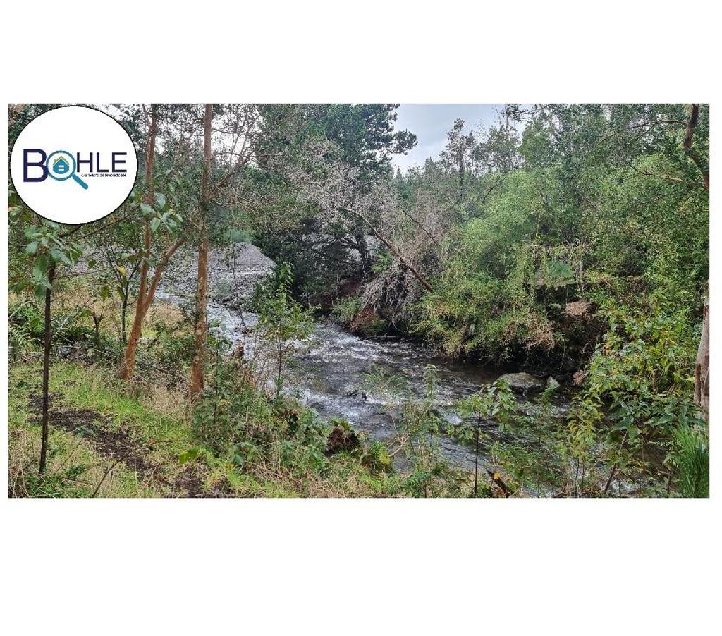 Parcelas en Venta Llanquihue Puerto Varas - Fotos de PARCELACIÓN EN RIO TEPÚ - ENSENADA