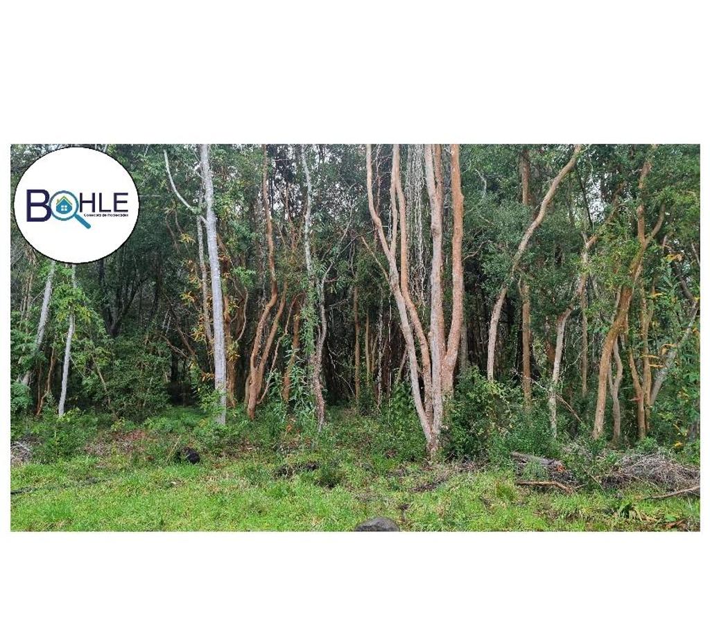 Parcelas en Venta Llanquihue Puerto Varas - Fotos de PARCELACIÓN EN RIO TEPÚ - ENSENADA