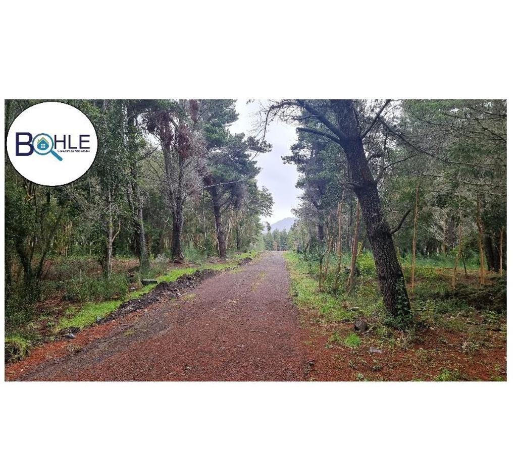 Parcelas en Venta Llanquihue Puerto Varas - Fotos de PARCELACIÓN EN RIO TEPÚ - ENSENADA