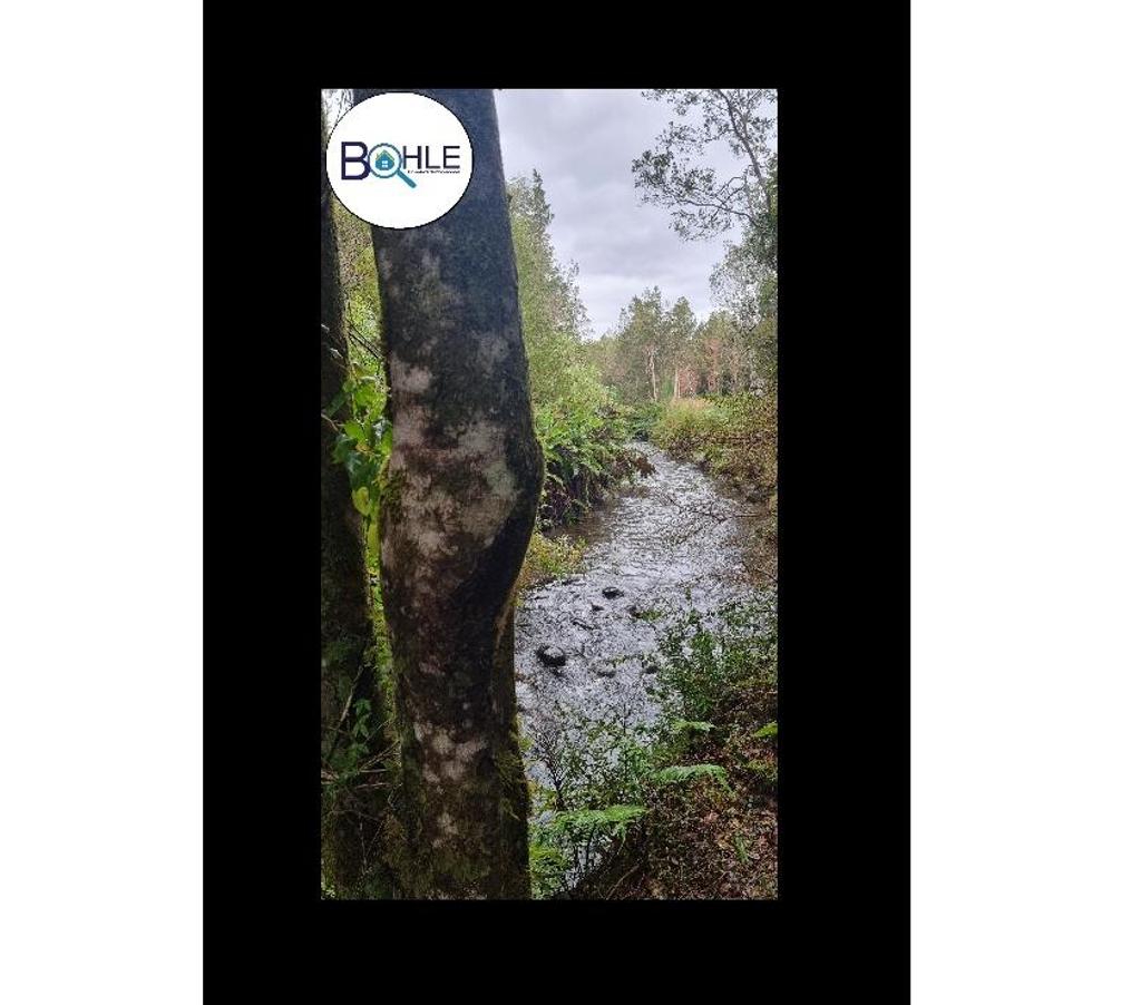 Parcelas en Venta Llanquihue Puerto Varas - Fotos de PARCELACIÓN EN RIO TEPÚ - ENSENADA