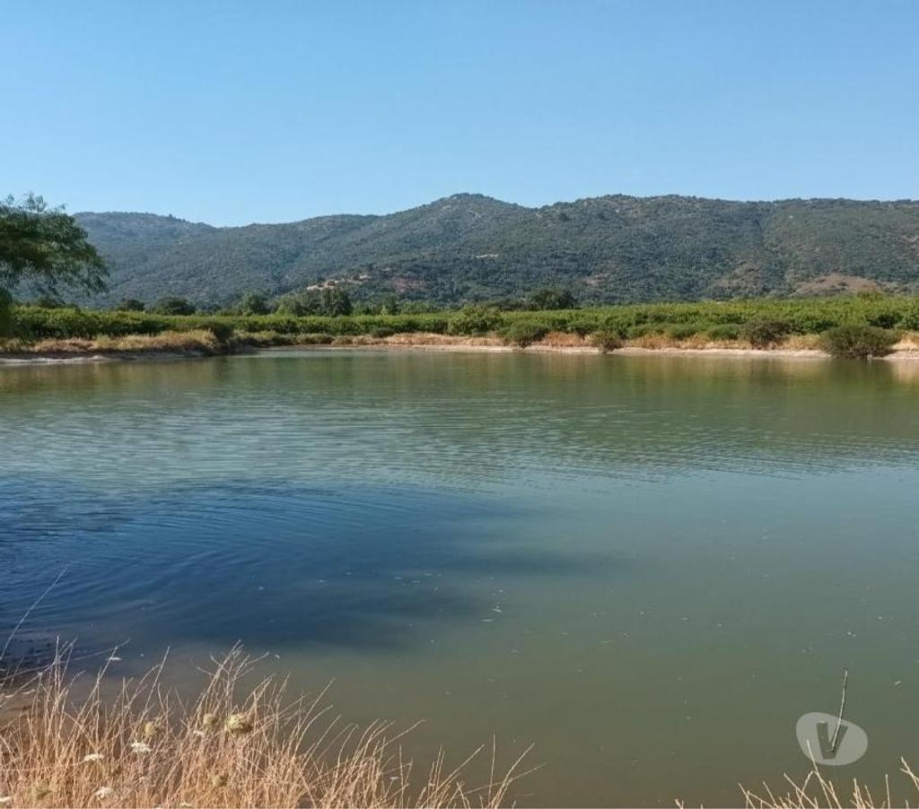 Venta de Haciendas Curicó Molina - Fotos de Campo de 63 hás en Molina con Cerezas y Viñas