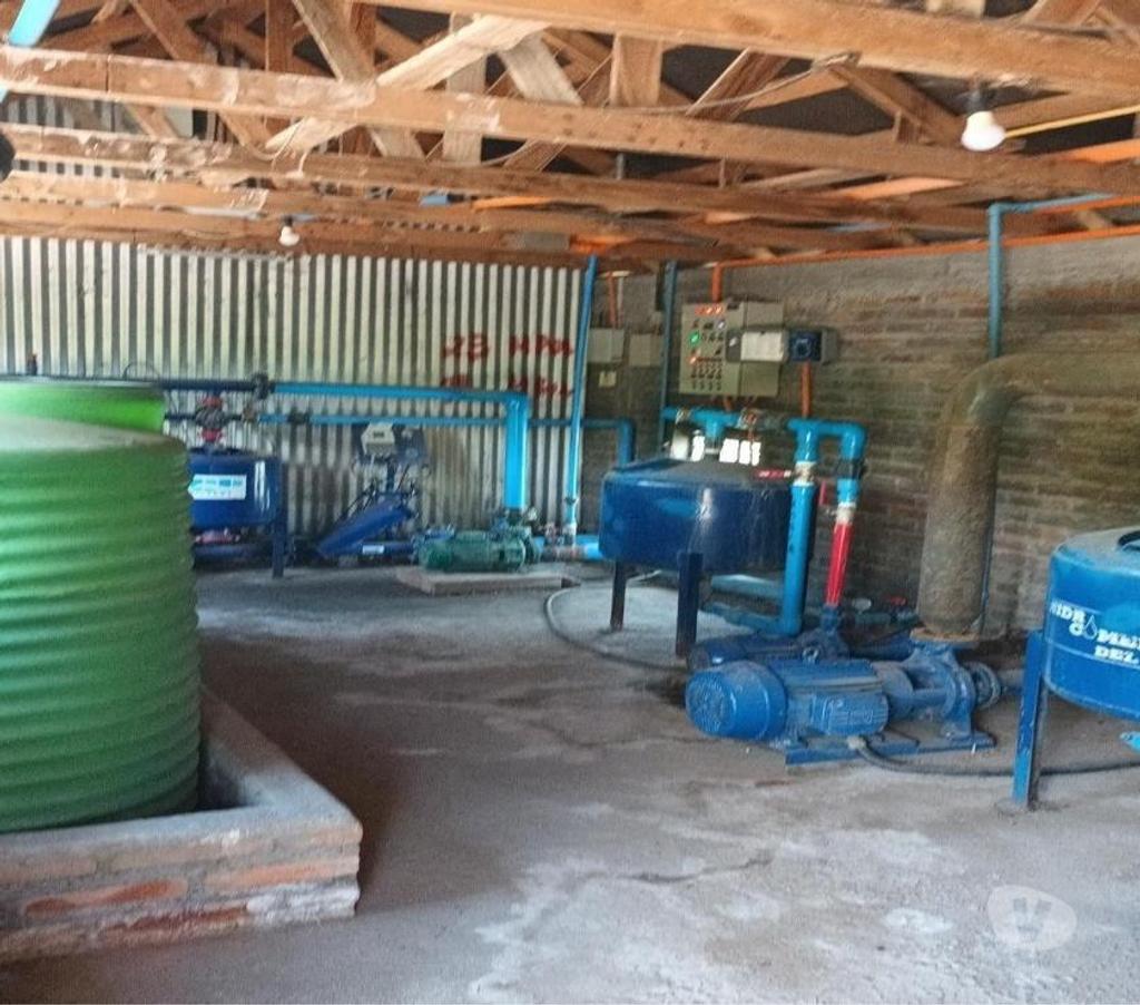 Venta de Haciendas Curicó Molina - Fotos de Campo de 63 hás en Molina con Cerezas y Viñas