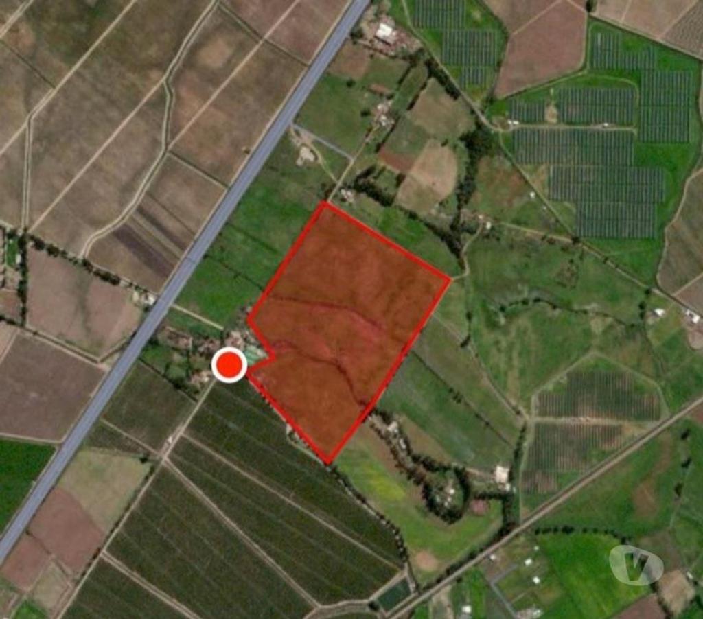Venta de Haciendas Curicó Molina - Fotos de Campo de 63 hás en Molina con Cerezas y Viñas