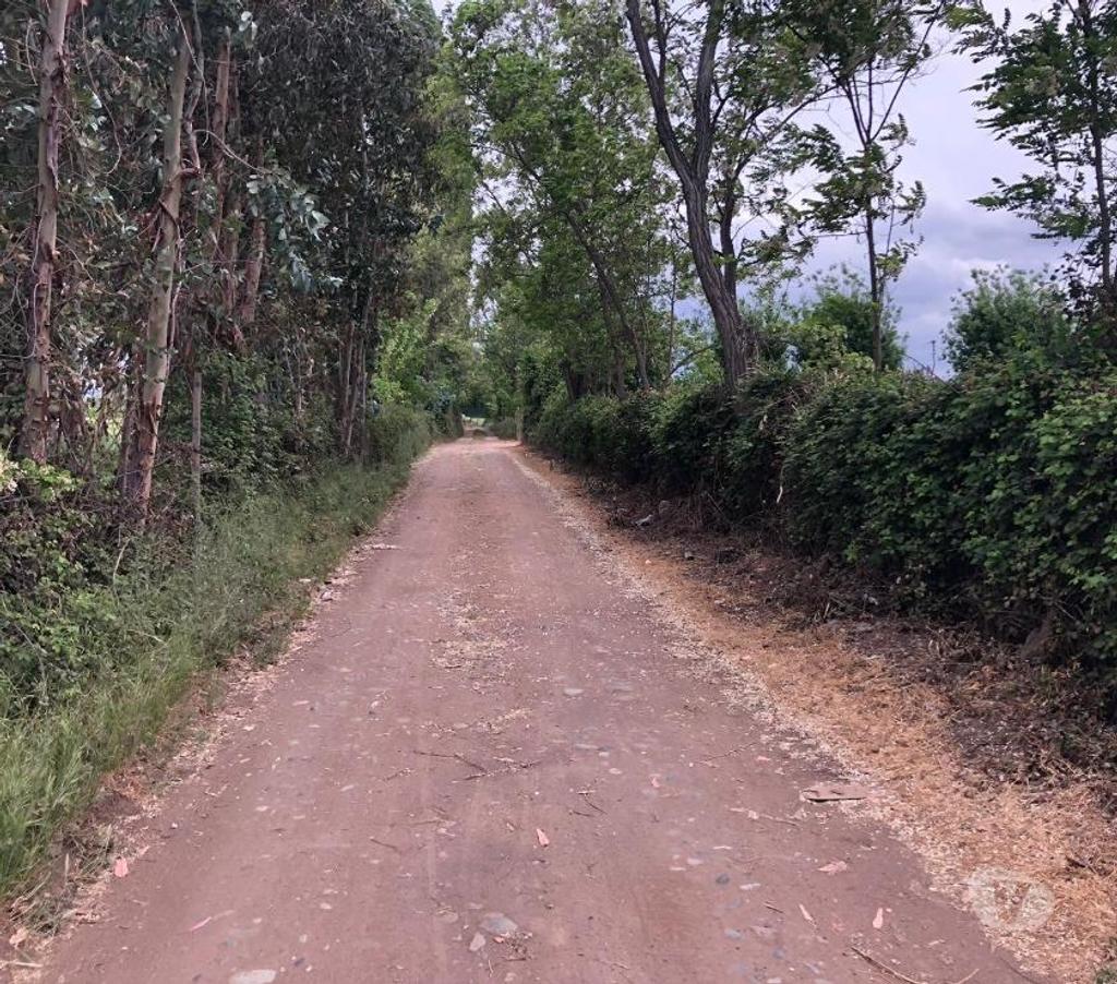 Parcelas en Venta Colchagua San Fernando - Fotos de Venta de Parcelas de Agrado