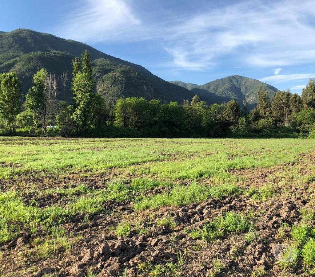 Parcelas en Venta Colchagua San Fernando - Fotos de Venta de Parcelas de Agrado