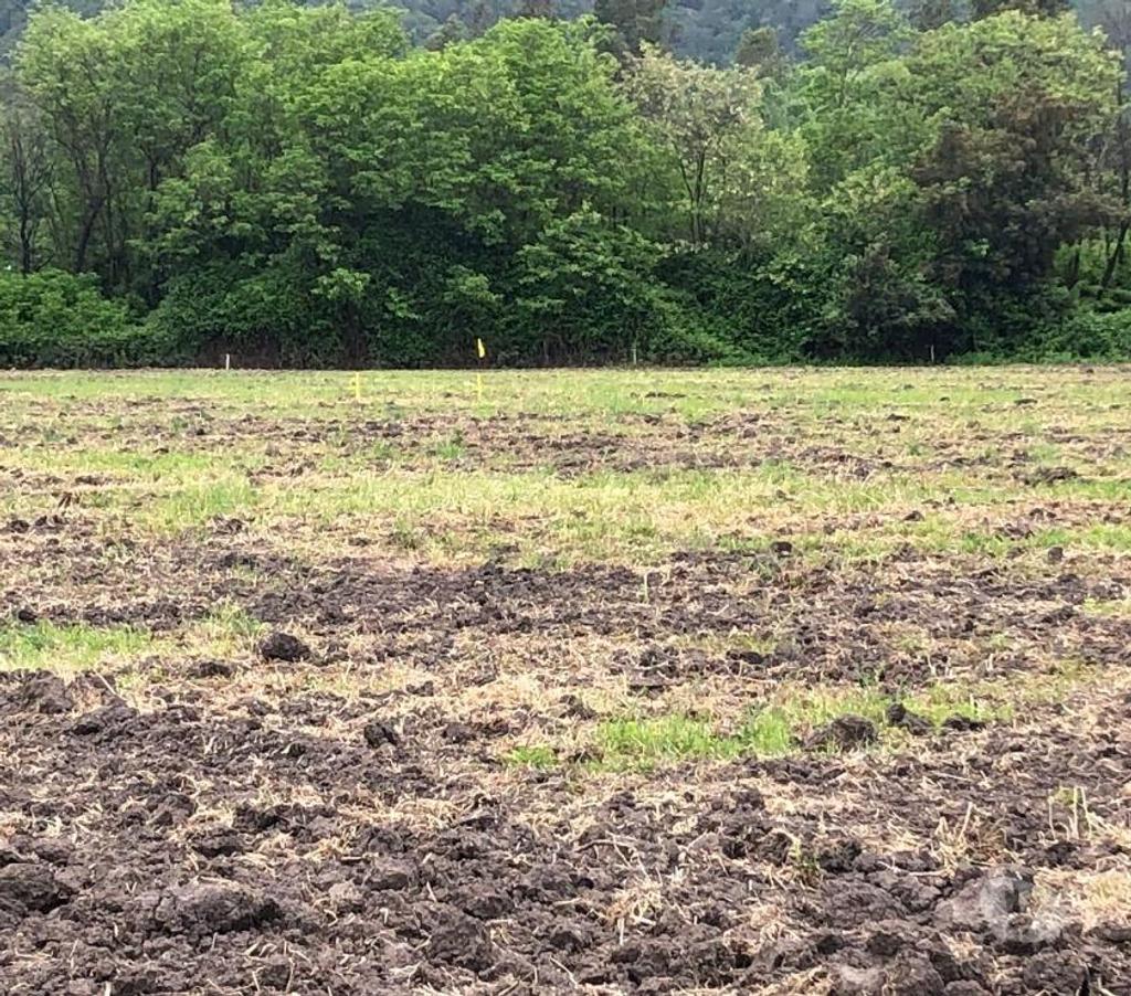 Parcelas en Venta Colchagua San Fernando - Fotos de Venta de Parcelas de Agrado