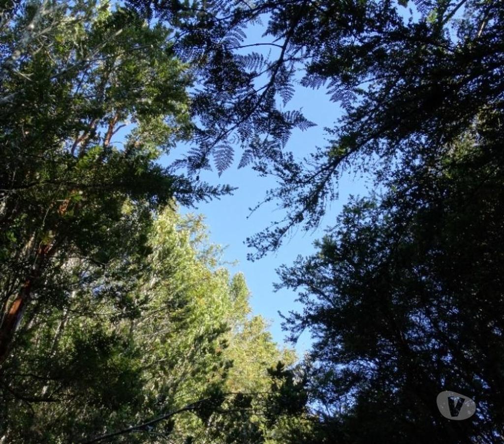 Parcelas en Venta Llanquihue Fresia - Fotos de VENTA DE TERRENO EN FRESIA.