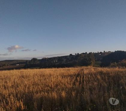 Parcelas Fresia Llanquihue - Fotos de VENTA DE 36 HECTAREAS EN COMUNA DE FRESIA.