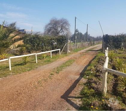 Terrenos Buin Maipo - Fotos de Viluco-Buin, parcela con casa.