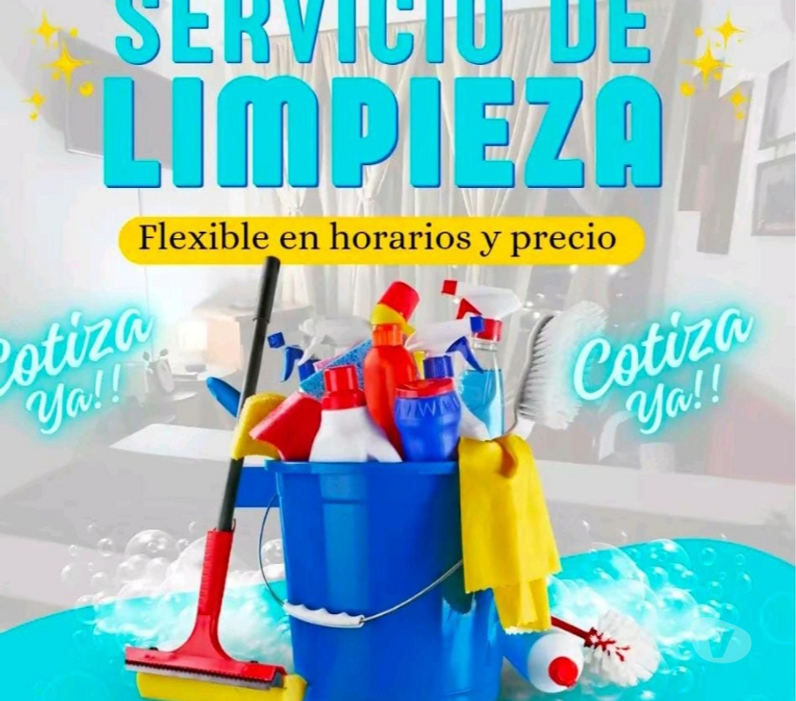 Asesoras del Hogar Santiago Vitacura - Fotos de Asesora del hogar o nana