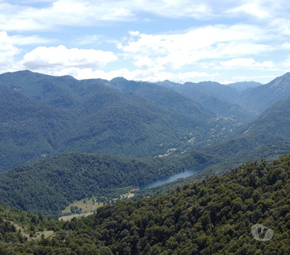 Campos en Venta Pucón Cautín - Fotos de 8 hectáreas, cercana a termas en Pucón.