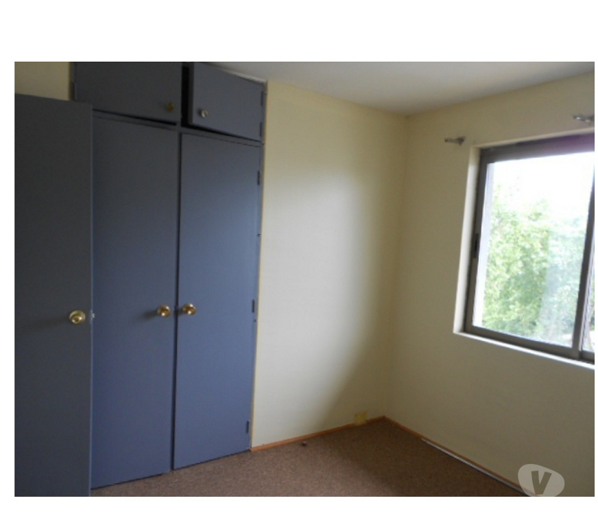 Arriendos Ñuble Chillán - Fotos de Arriendo céntrico departamento - Chillán