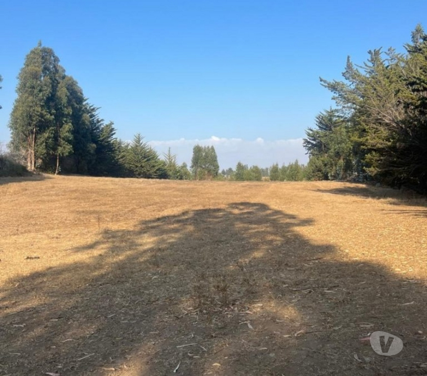 Parcelas en Venta Cardenal Caro Pichilemu - Fotos de Terreno Sector Nuevos Reinos , Pichilemu