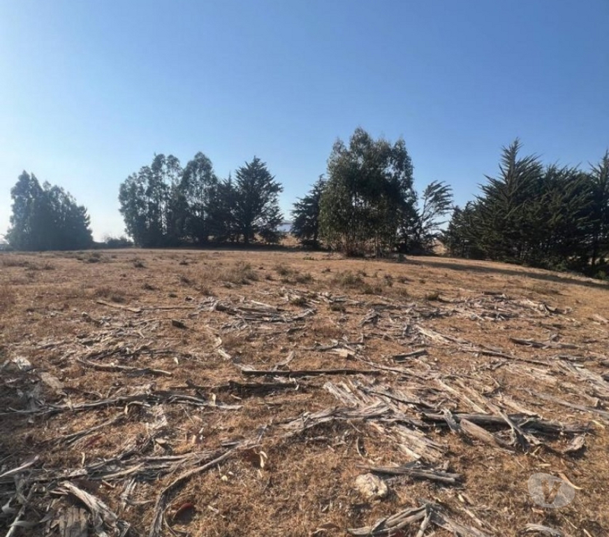Parcelas en Venta Cardenal Caro Pichilemu - Fotos de Terreno Sector Nuevos Reinos , Pichilemu