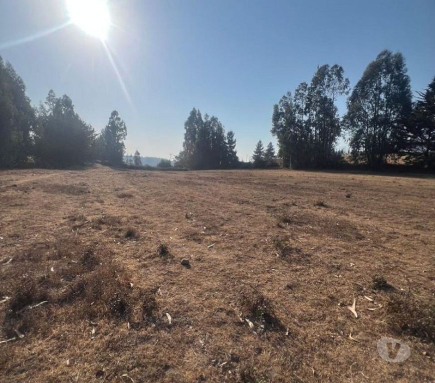Parcelas en Venta Cardenal Caro Pichilemu - Fotos de Terreno Sector Nuevos Reinos , Pichilemu