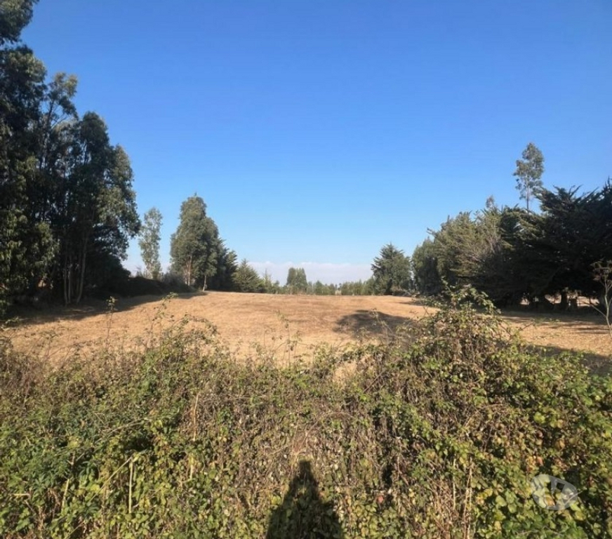 Parcelas en Venta Cardenal Caro Pichilemu - Fotos de Terreno Sector Nuevos Reinos , Pichilemu
