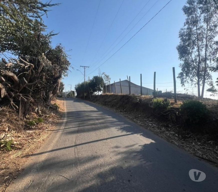 Parcelas en Venta Cardenal Caro Pichilemu - Fotos de Terreno Sector Nuevos Reinos , Pichilemu