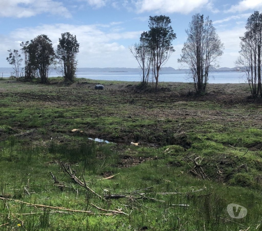 Venta de Haciendas Chiloé Queilén - Fotos de Se rematan 4 parcelas en Chiloé