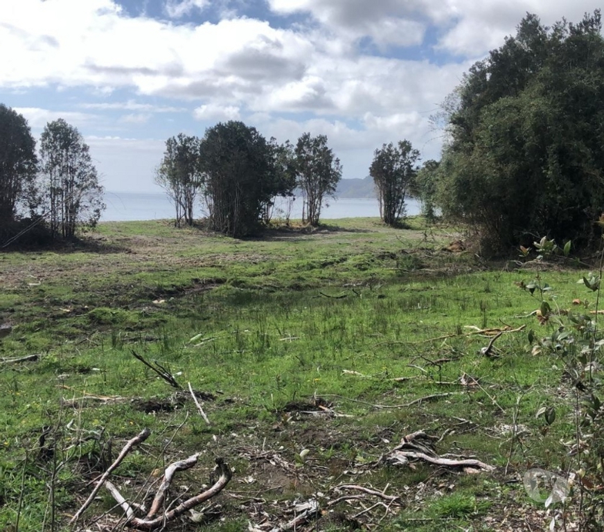 Venta de Haciendas Chiloé Queilén - Fotos de Se rematan 4 parcelas en Chiloé