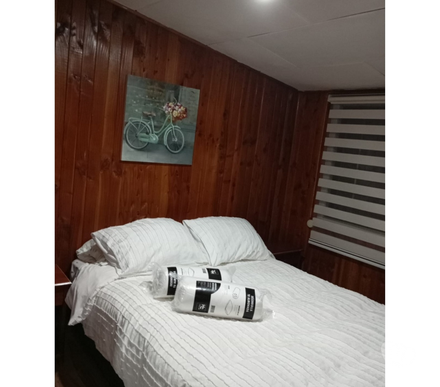 Arriendos Chiloé Castro - Fotos de Arriendo departamento amoblado centro Castro