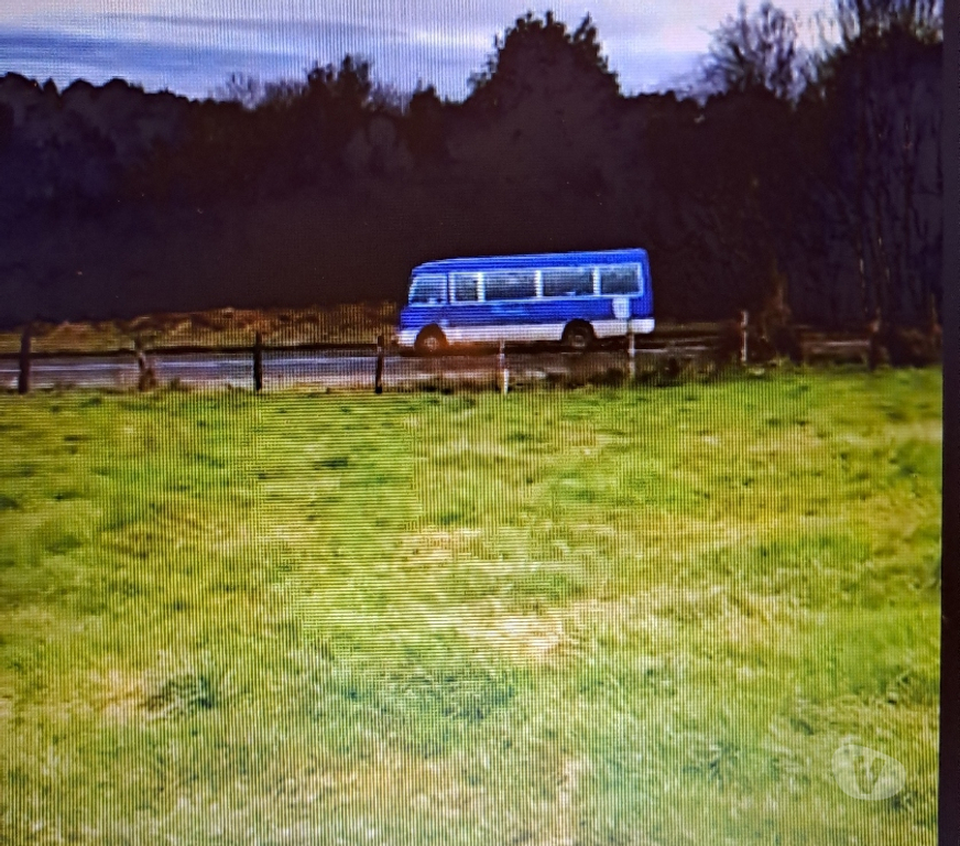 Parcelas en Venta Chiloé Ancud - Fotos de Parcela 5.200 m2 - Sector Pumanzano - Ancud - Chiloe